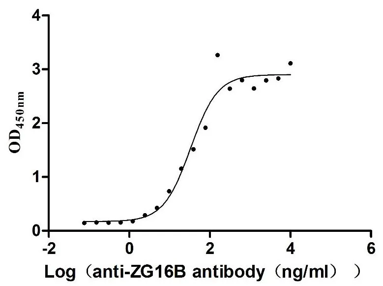 Recombinant Human Zymogen granule protein 16 homolog B (ZG16B) (Active) - image 1