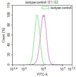RAB27A Recombinant Monoclonal Antibody - image 1