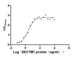 Recombinant Human Secreted and transmembrane protein 1 (SECTM1) , partial (Active) - image 1