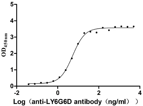 LY6G6D Recombinant Monoclonal Antibody - image 1