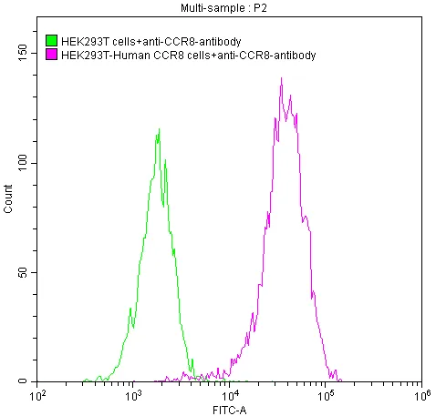 CCR8 Recombinant Monoclonal Antibody - image 1