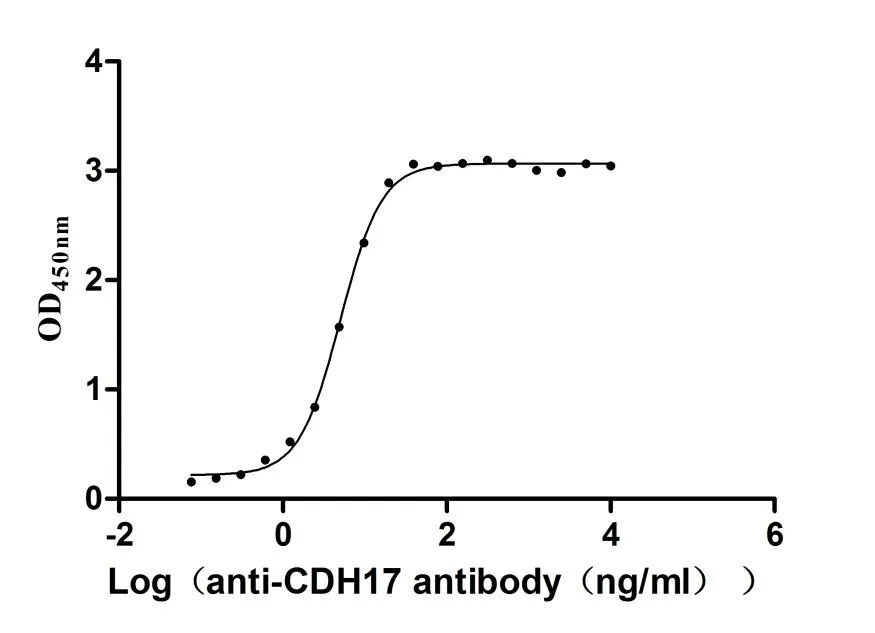 Recombinant Macaca fascicularis Cadherin 17 (CDH17) , partial (Active) - image 3