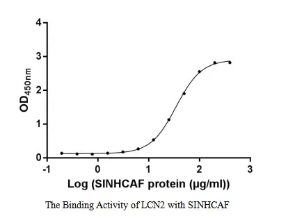 Recombinant Human SIN3-HDAC complex-associated factor (SINHCAF) (Active) - image 1