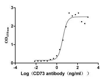 Recombinant Human 5'-nucleotidase (NT5E) (Active) - image 1