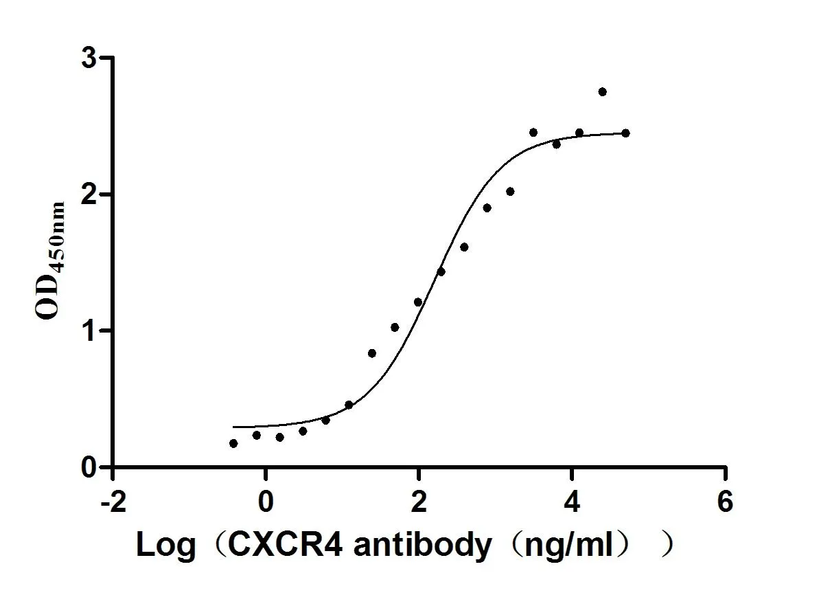 CXCR4 Recombinant Monoclonal Antibody - image 1