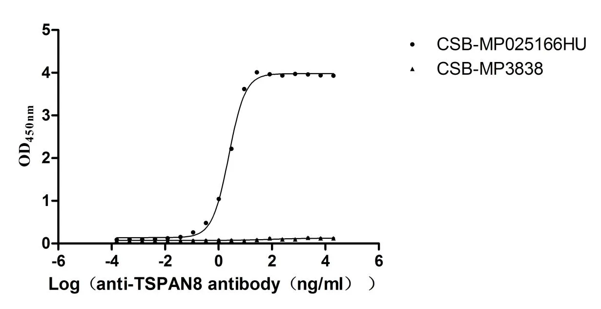 TSPAN8 Recombinant Monoclonal Antibody - image 1