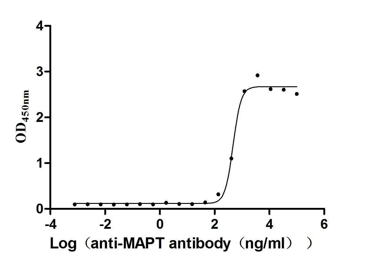 Recombinant Mouse Microtubule-associated protein tau (Mapt) (Active) - image 1