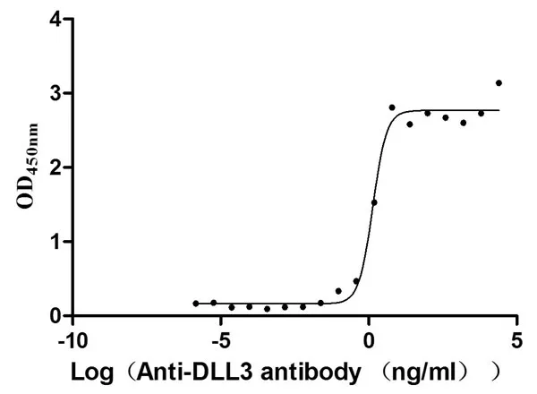 Recombinant Human Delta-like protein 3 (DLL3) , partial (Active) - image 1