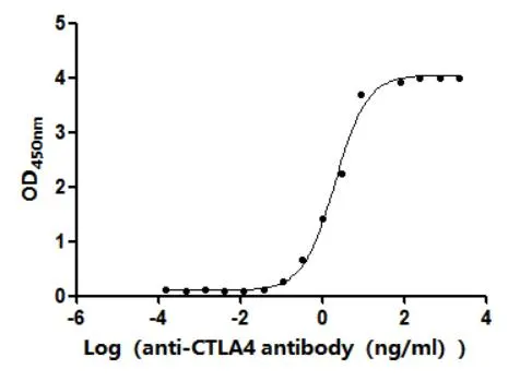 Recombinant Finegoldia magna ATCC 53516 LPXTG-motif cell wall anchor domain protein, partial (Active) - image 2