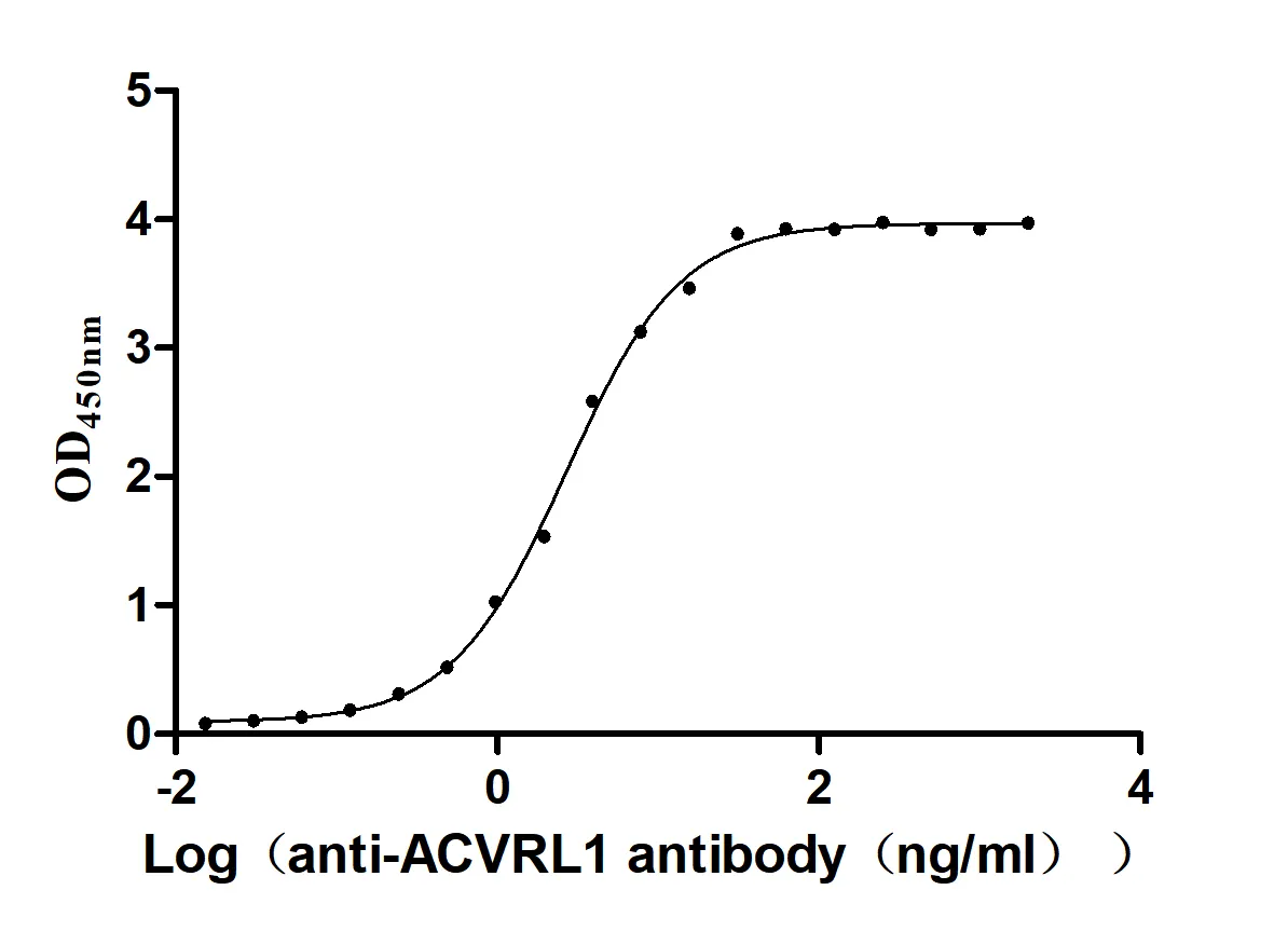 ACVRL1 Recombinant Monoclonal Antibody - image 1