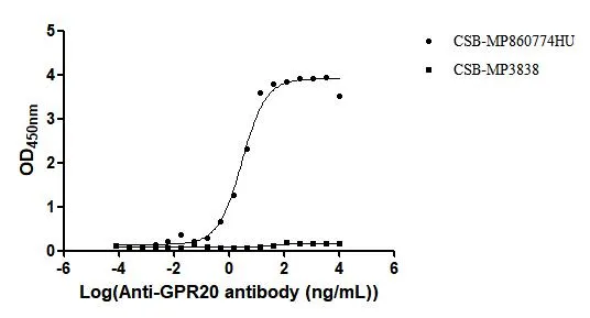 Recombinant Human G-protein coupled receptor 20 (GPR20) -VLPs (Active) - image 1