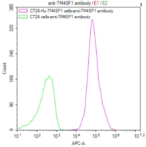 CT26/Human TM4SF1 Stable Cell Line - image 1