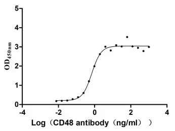 Recombinant Human CD48 antigen (CD48) (Active) - image 1