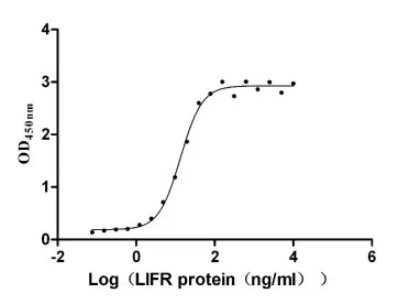 Recombinant Human Leukemia inhibitory factor receptor (LIFR) , partial (Active) - image 2