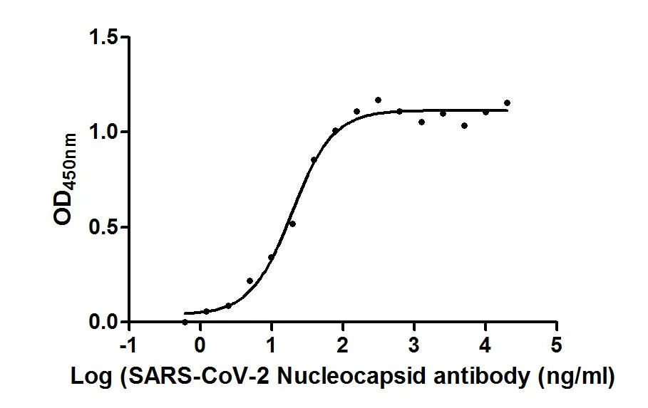 Nucleoprotein (NTD) Antibody - image 1