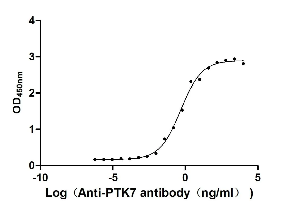 Recombinant Human Inactive tyrosine-protein kinase 7 (PTK7) , partial (Active) - image 1