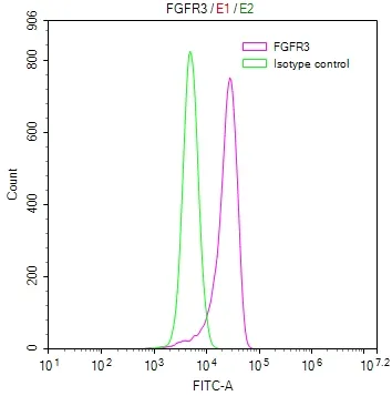 FGFR3 Recombinant Monoclonal Antibody - image 1