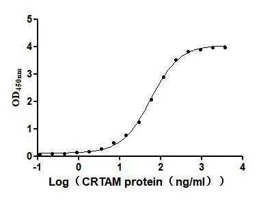 Recombinant Mouse Cytotoxic and regulatory T-cell molecule (Crtam) , partial (Active) - image 1