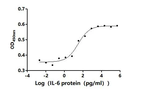 Recombinant Human Interleukin-6 (IL6) (Active) - image 1