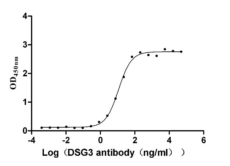 DSG3 Recombinant Monoclonal Antibody - image 1
