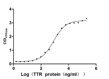 Recombinant Human Retinol-binding protein 4 (RBP4) (Active) - image 2