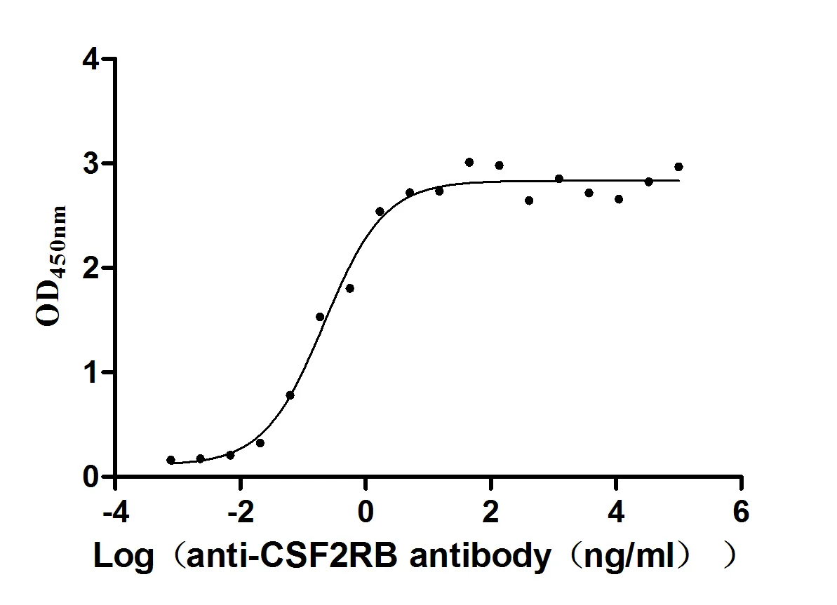 CSF2RB Recombinant Monoclonal Antibody - image 1