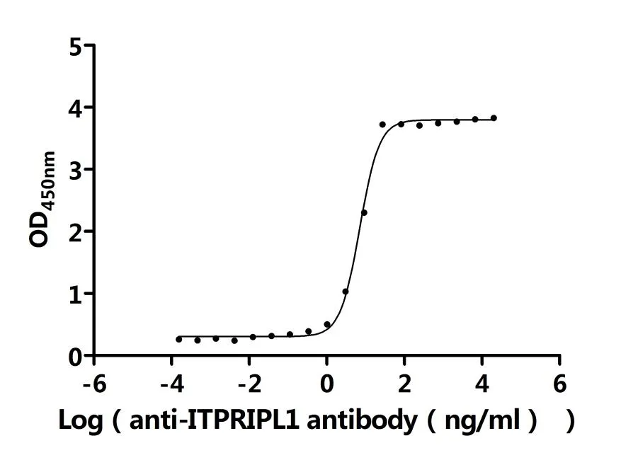 Recombinant Human Inositol 1, 4, 5-trisphosphate receptor-interacting protein-like 1 (ITPRIPL1) , partial (Active) - image 1