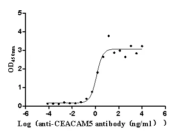 CEACAM5 Recombinant Monoclonal Antibody - image 1