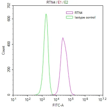 RTN4 Recombinant Monoclonal Antibody - image 1