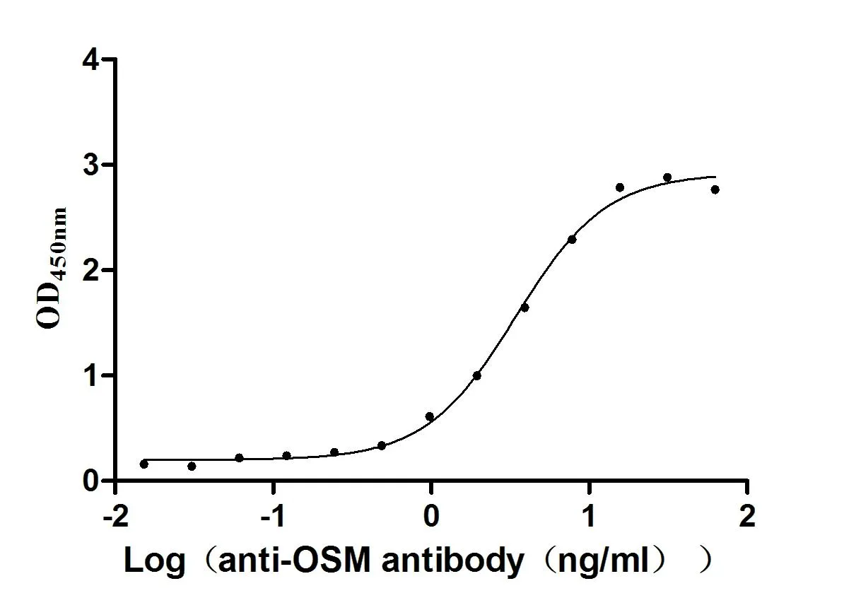 Recombinant Human Oncostatin-M (OSM) , partial (Active) - image 2