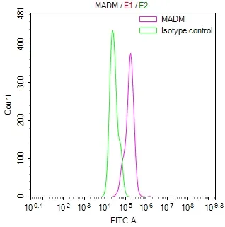 ADAM10 Recombinant Monoclonal Antibody - image 1