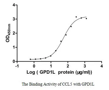 Recombinant Human Glycerol-3-phosphate dehydrogenase 1-like protein (GPD1L) (Active) - image 1