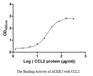 Recombinant Human Atypical chemokine receptor 2 (ACKR2) (Active) - image 1