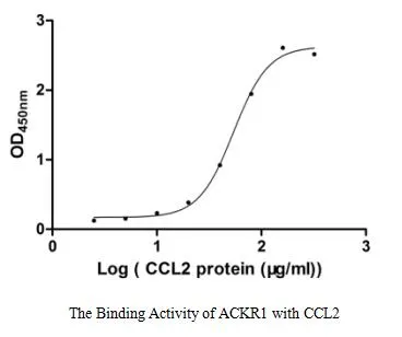 Recombinant Human Atypical chemokine receptor 1 (ACKR1) (Active) - image 1