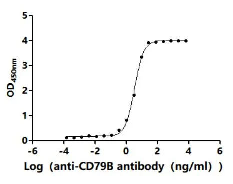 CD79B Recombinant Monoclonal Antibody - image 1