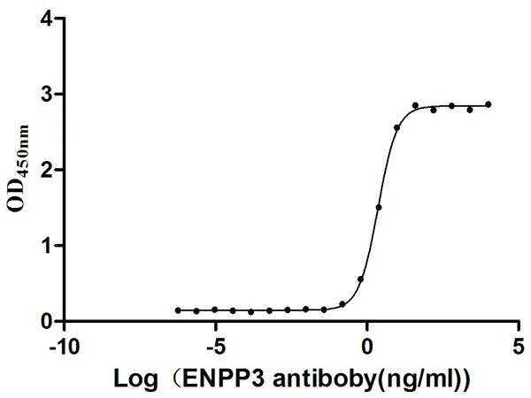 Recombinant Human Ectonucleotide pyrophosphatase/phosphodiesterase family member 3 (ENPP3) , partial (Active) - image 1