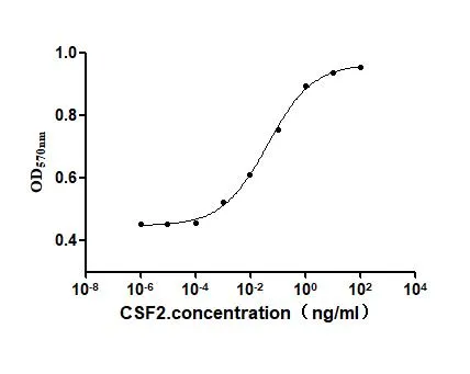 Recombinant Human Granulocyte-macrophage colony-stimulating factor (CSF2) (Active) - image 1