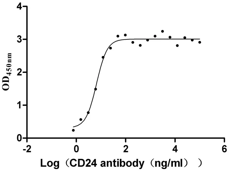 Recombinant Human Signal transducer CD24 (CD24) -Nanoparticle (Active) - image 1