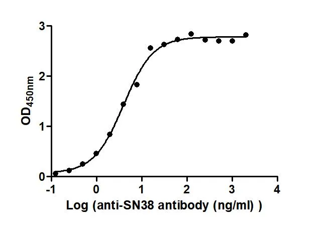 SN38 Recombinant Monoclonal Antibody - image 1