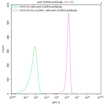 CHOK1/Human CLDN4 Stable Cell Line - image 1