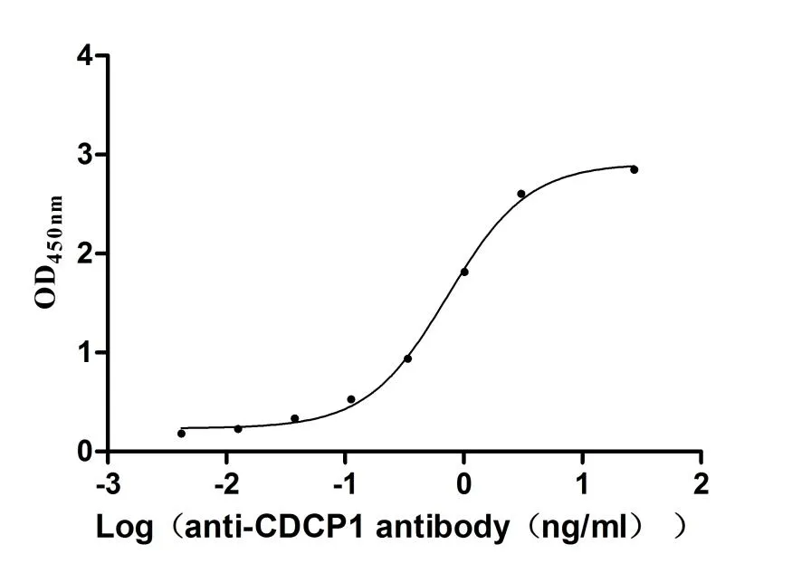 CDCP1 Recombinant Monoclonal Antibody - image 2