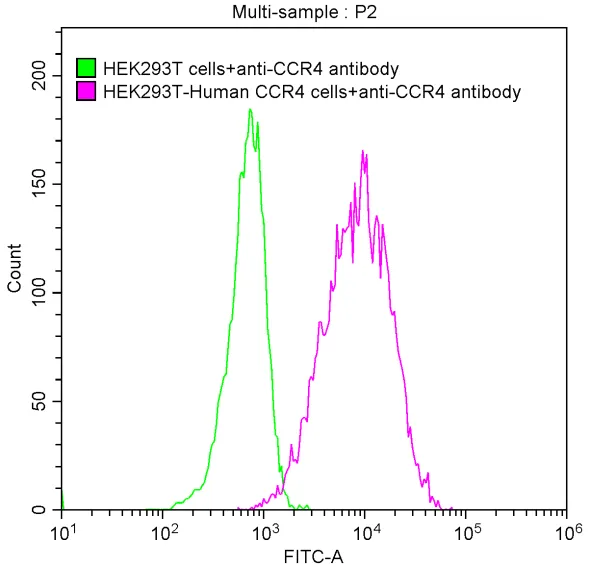 CCR4 Recombinant Monoclonal Antibody - image 2