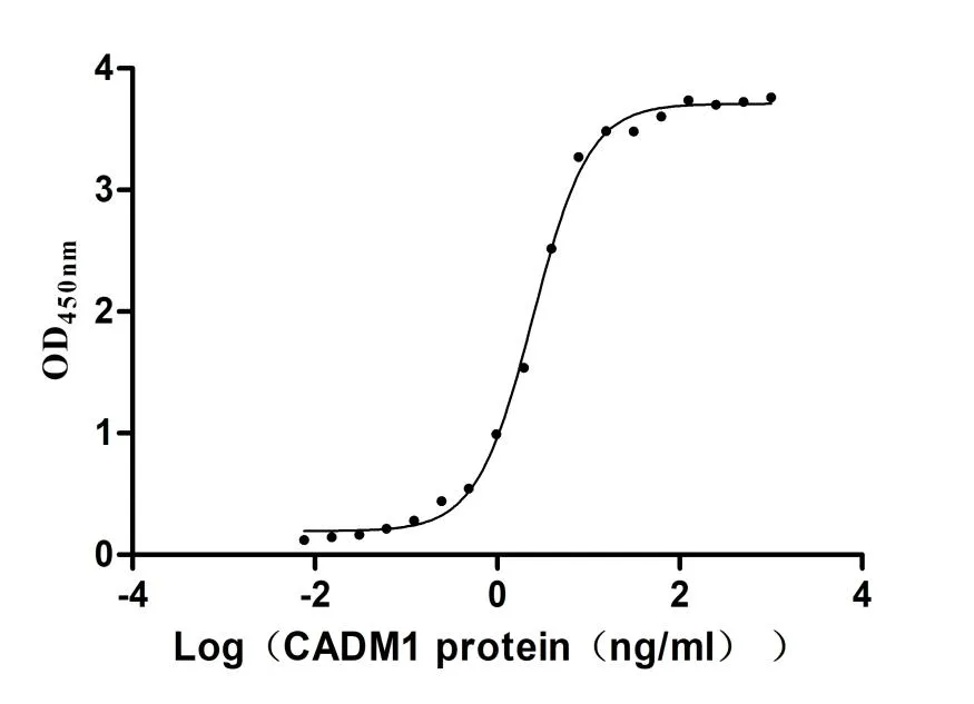 Recombinant Human Cytotoxic and regulatory T-cell molecule (CRTAM) , partial (Active) - image 1