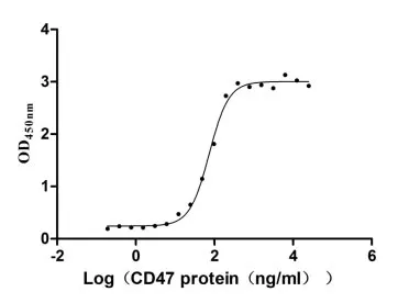 Recombinant Human Leukocyte surface antigen CD47 (CD47) , partial (Active) - image 1