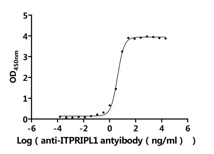 ITPRIPL1 Recombinant Monoclonal Antibody - image 1