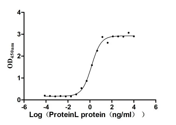 Recombinant Finegoldia magna ATCC 53516 LPXTG-motif cell wall anchor domain protein, partial, Biotinylated (Active) - image 2