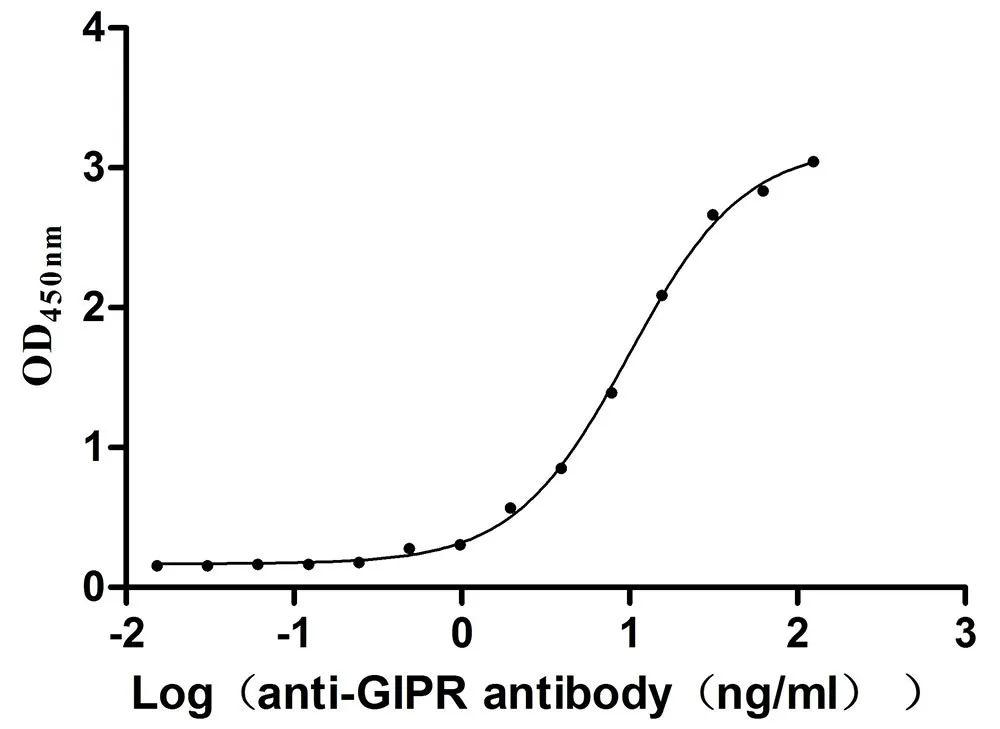Recombinant Mouse Gastric inhibitory polypeptide receptor (Gipr) , partial (Active) - image 1