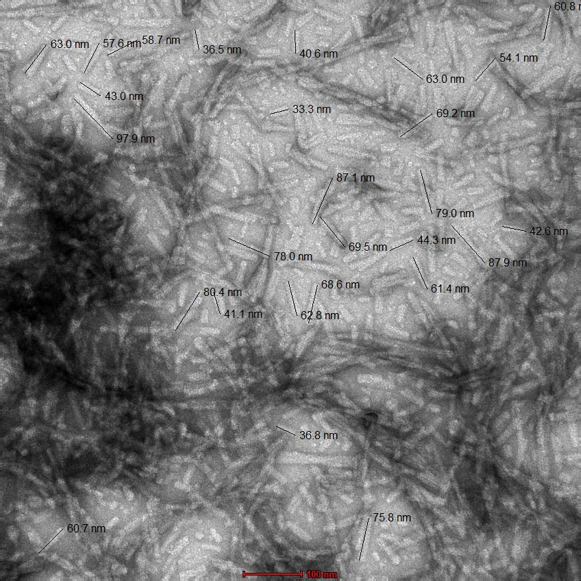 Alpha Synuclein Pre-formed Fibrils (Type 1) - image 6