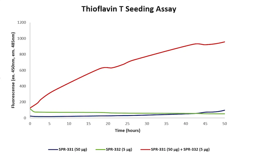 Alpha Synuclein N-Terminal Acetylated Pre-formed Fibrils (Type 1) - image 3
