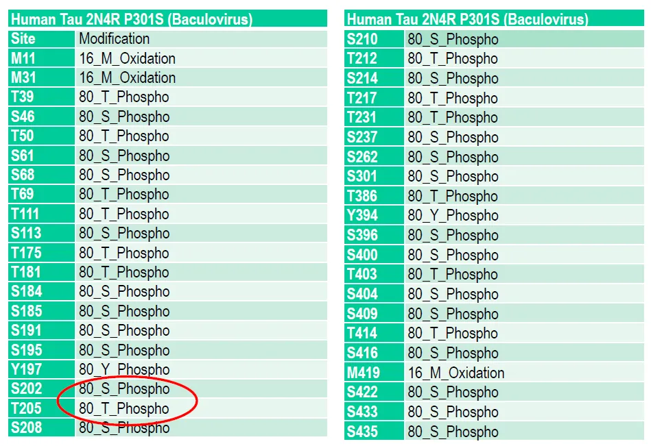 Tau-441 (2N4R) P301S Mutant Monomers (Baculovirus/Sf9) - image 3